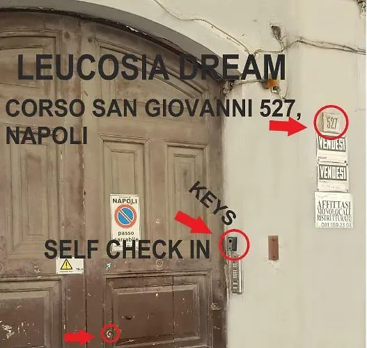 Leucosia Dream *
